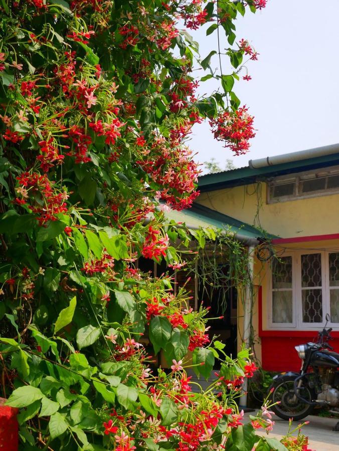 Gibbon Backpackers Hostel Guwahati Exteriör bild